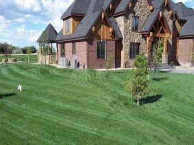 Beartooth Hydroseed - Photo 3