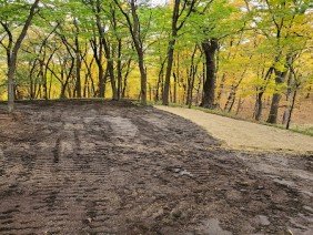 MSB Excavating & Tiling, LLC - Photo -1