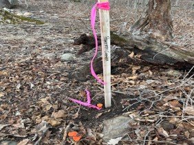 NJR Land Surveying, LLC - Photo 1