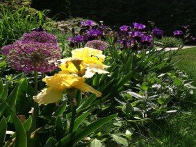 Dale Design, Inc. Landscape Architecture - Photo 2