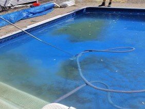 POOL SHARKS - Photo 0