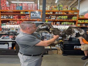 Eagle Plumbing LLC - Photo 4