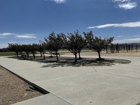 EZ Dayz Landscaping LLC. - Photo 0