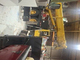 Central Michigan Crane - Photo 2