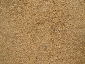 Lehnhoff's Supply - Photo -1