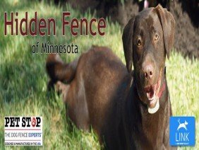 Hidden Fence of Minnesota - Photo 0