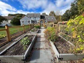 Reimagined Roots - Photo 1