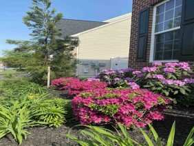 Hawkins Landscaping Inc - Photo 5