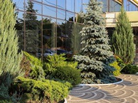 Gold Leaf Group - Photo 3