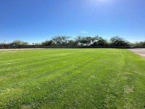Phoenix Pro Landscaping & Lawn Care Services - Photo -1