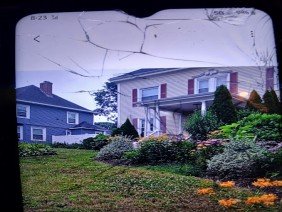 Tims tree & landscaping - Photo 0