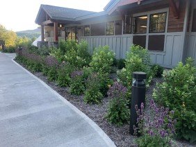 Coletta Landscape Design - Photo 1