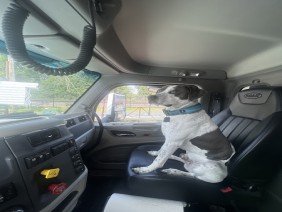 Spencer Plumbing Sewer and Drain Cleaning - Photo 3