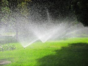 Rock Solid Landscape & Irrigation - Photo 5