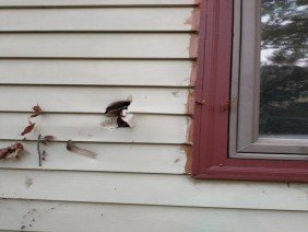 Keystone Building and Restoration, LLC - Photo 2