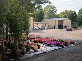 Level Green Landscaping - Photo 0