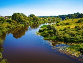 Westwood Professional Services - Photo 2