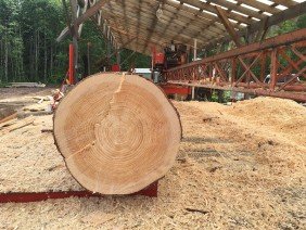 Second Growth Homes - Photo 0