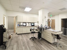 Spring Contracting Group - Photo 4