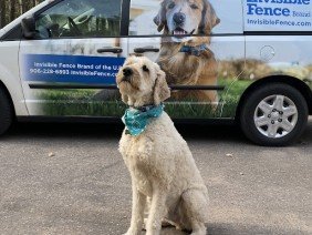 Invisible Fence Brand by Great Lakes Containment & Training - Photo 3