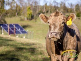 Mountain View Solar - Photo 3