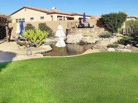 Sonoran Landscape Design - Photo 2