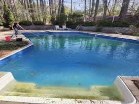 POOL SHARKS - Photo -1