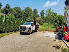 Y&L Landscaping & Tree Service - Photo 3
