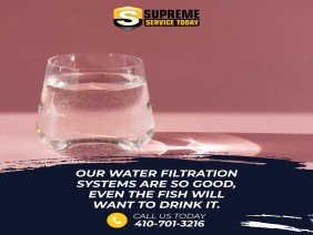 Supreme Service Today - Photo -1