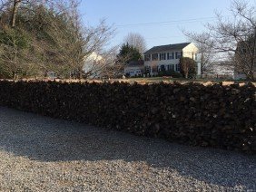 American Landscaping Inc. - Photo 3