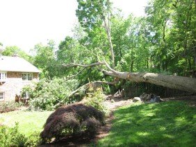 Metropolitan Contractors - Photo 2