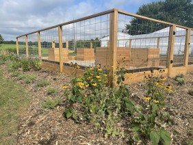 Reimagined Roots - Photo 0