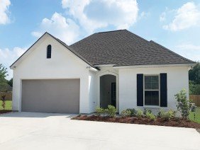 Willow Run by DSLD Homes - Photo -1