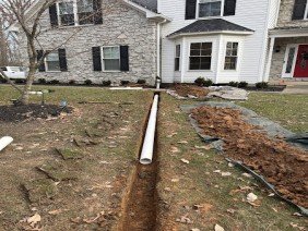 AE Quality Landscaping - Photo -1