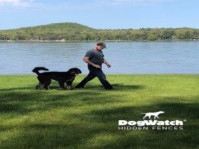 DogWatch by Great Lakes Pet Fencing Inc - Photo 1