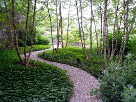 Jean Brooks Landscapes - Photo 5