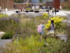 site design group, ltd. - Photo 4