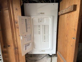 Lilly Electric - Photo 6