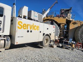 NC The Cat Rental Store - Photo -1