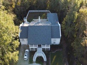 Roof Gecko - Photo 4