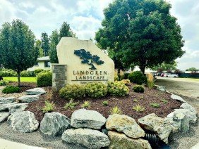 Lindgren Landscape - Photo 3