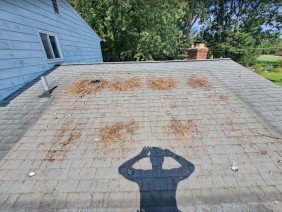 NovaTerra Energy - Photo 2