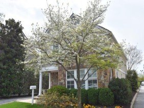 McHale Landscape Design - Photo 0