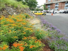 Wellnesscapes Design - Photo 4