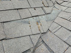 Big Top Roofing, Siding, and Dumpster Rental - Photo 1