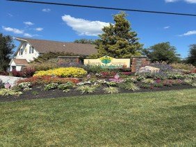 TDH Landscaping - Photo 3