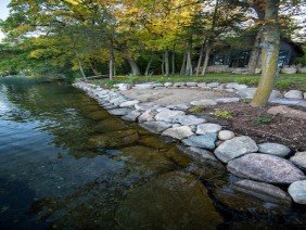 Backyard Reflections - Photo 3