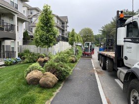 Downer Brothers Landscaping, Inc. - Photo -1