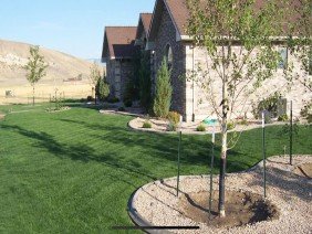 Beartooth Hydroseed - Photo 2