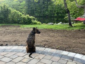 G&M Home Improvements Services - Photo 0